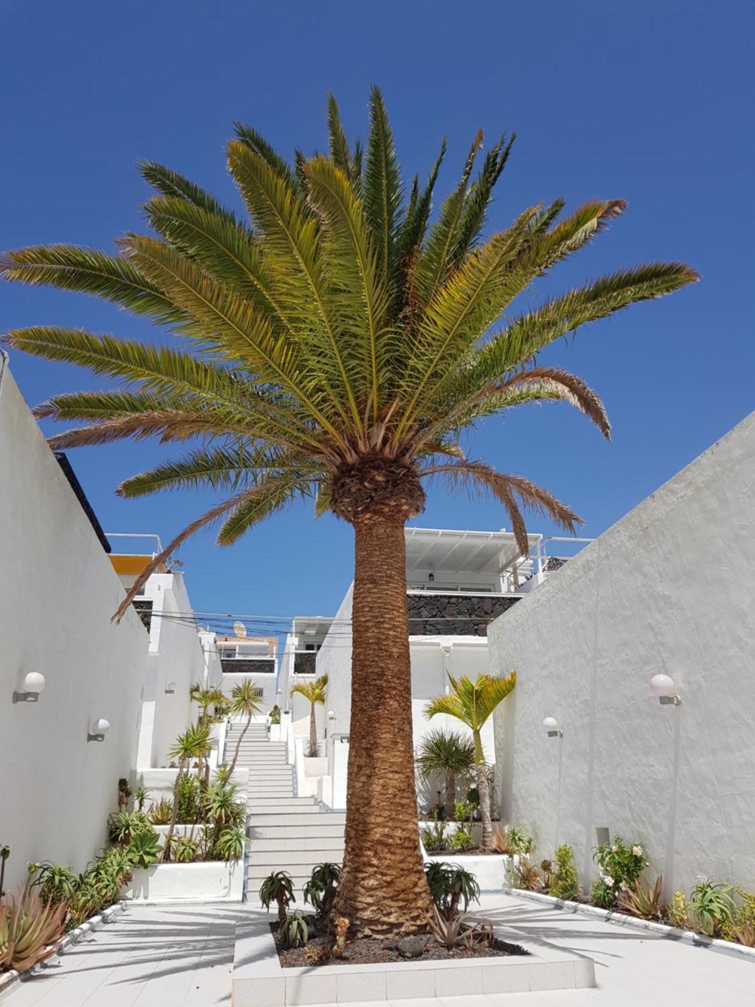 Stunning 2 Bedroom Duplex Close To Main Beach With Seaviews Puerto del Carmen  Exterior foto